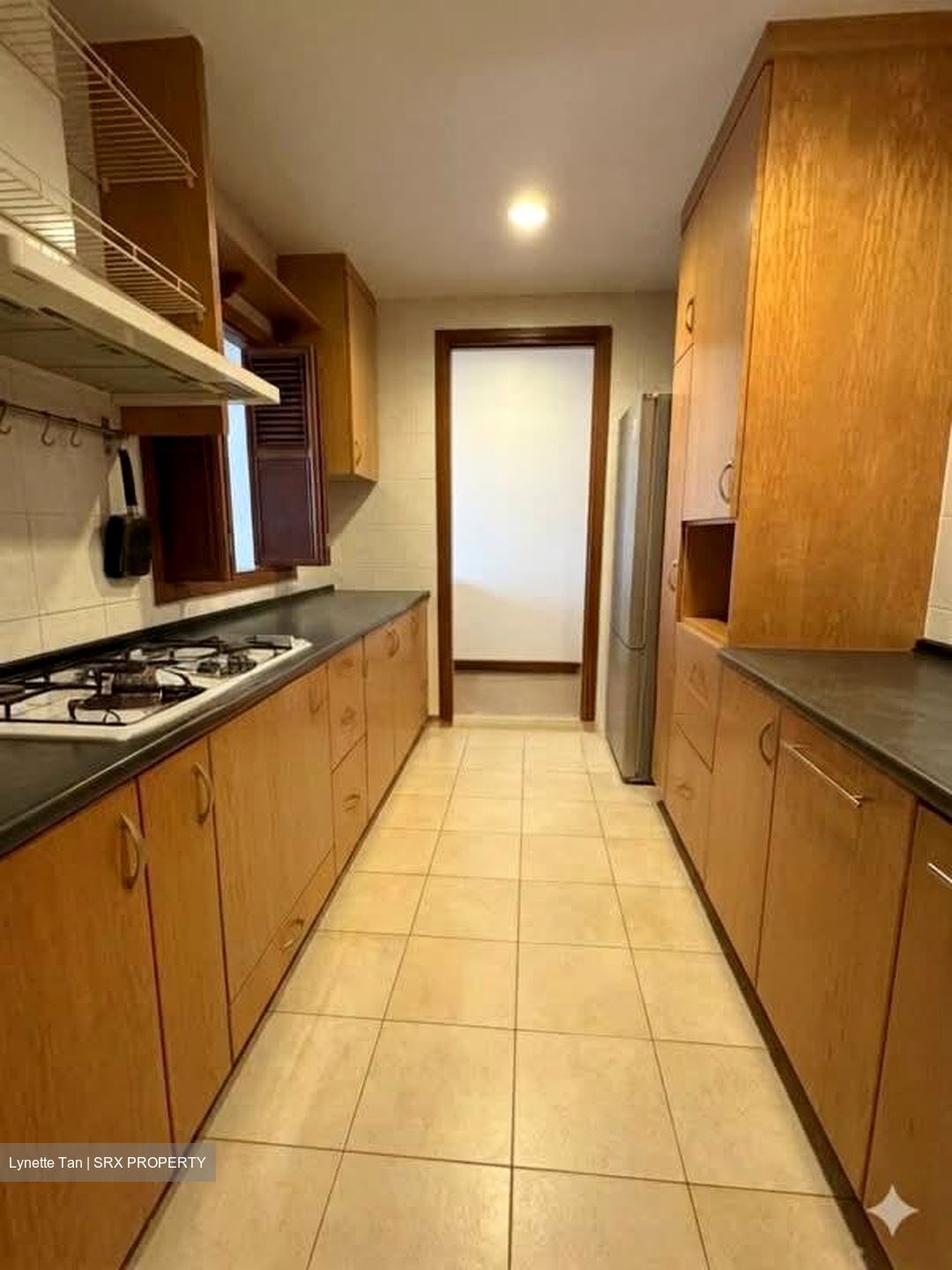 Tanglin View (D3), Condominium #558048151